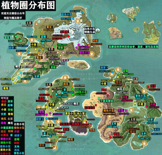 创造与魔法开服卷获取攻略:全方位解析获取方法及途径概览