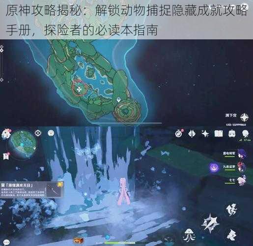 原神攻略揭秘:解锁动物捕捉隐藏成就攻略手册,探险者的必读本指南
