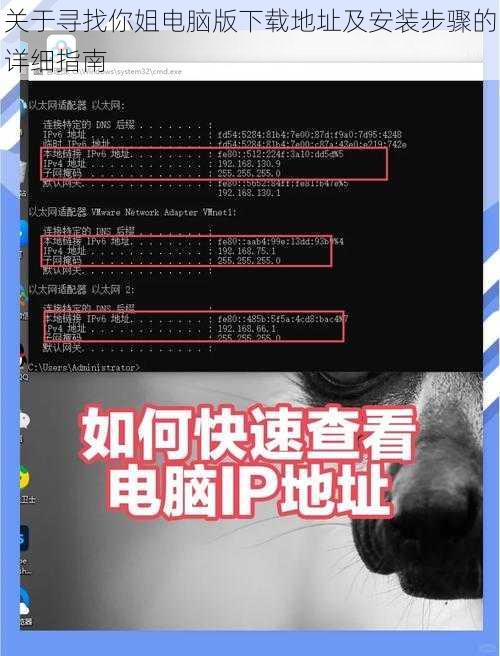 关于寻找你姐电脑版下载地址及安装步骤的详细指南